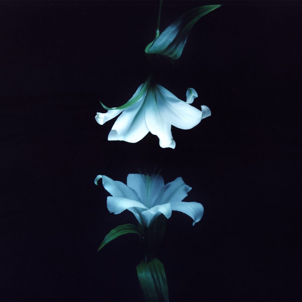 Wasia Project Nocturne cover artwork