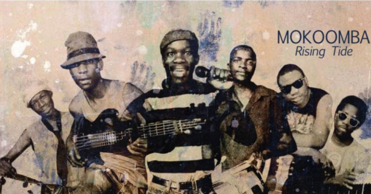 Njoka njoka