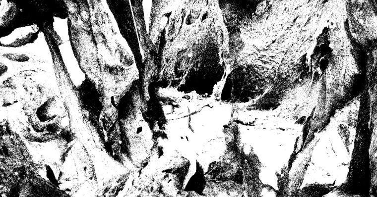 Other Half - Soft Action